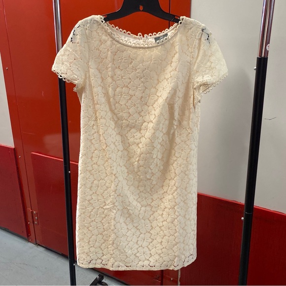 Adrianna Papell Dresses & Skirts - Adrianna Papell Lace Shift Dress in Cream | Size 12P